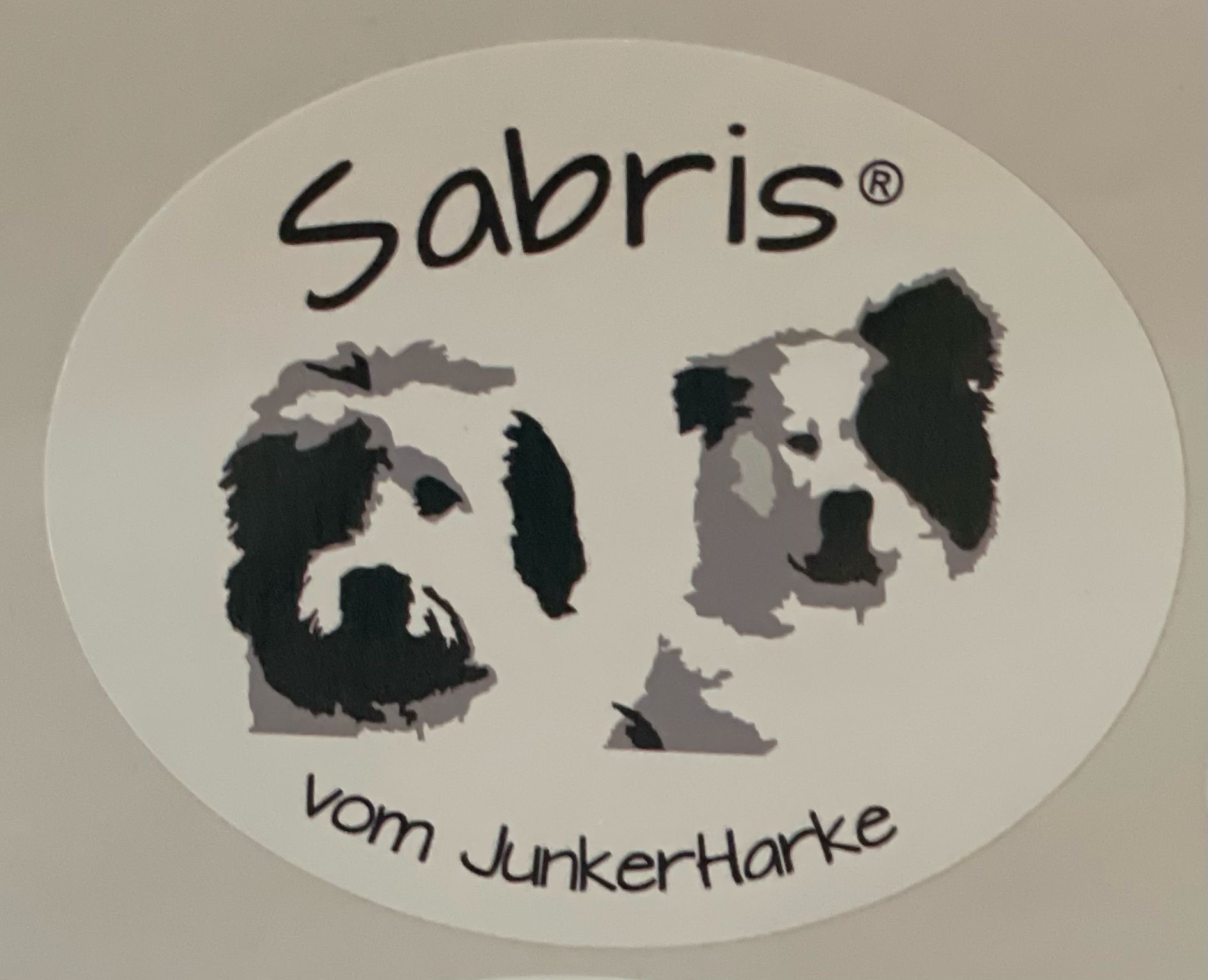 Logo 1 Junker